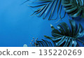 Tropical green leaves on blue background with copy space 135220269