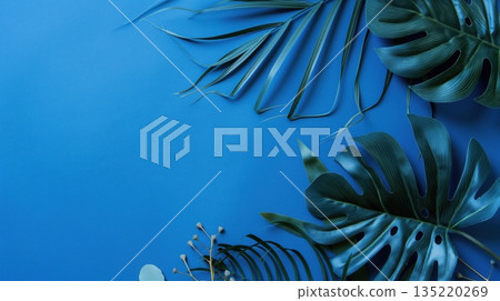 Tropical green leaves on blue background with copy space 135220269
