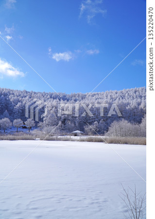 Hijiri Plateau - Rime ice at Lake Nakamaki Hijiri Plateau - Rime ice at Lake Nakamaki 135220470