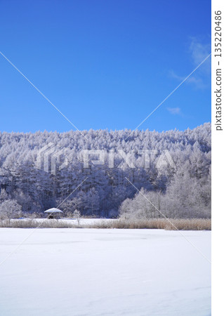 Hijiri Plateau - Rime ice at Lake Nakamaki Hijiri Plateau - Rime ice at Lake Nakamaki 135220486