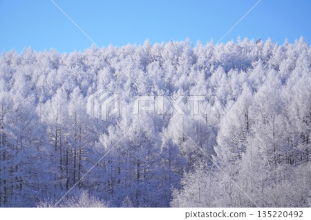 Hijiri Plateau - Rime ice at Lake Nakamaki 135220492