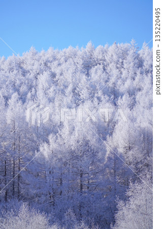 Hijiri Plateau - Rime ice at Lake Nakamaki Hijiri Plateau - Rime ice at Lake Nakamaki 135220495