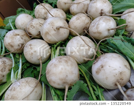 Harvested naturally grown turnips 135220549
