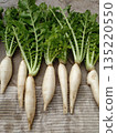新鮮採摘並間苗的蘿蔔 135220550