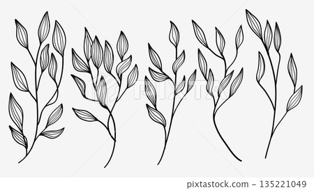 Leaves and Branch Hand Drawn Line Collection.Vector Illustration Leaves and Branch Hand Drawn Line Collection.Vector Illustration 135221049