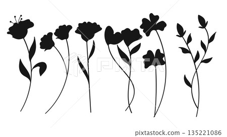 Silhouette Flowers Botanical Hand Drawn Set Collection.Vector Illustration 135221086