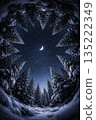 Winter forest and starry sky 135222349