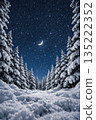 Winter forest and starry sky 135222352