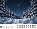 Winter forest and starry sky 135222353