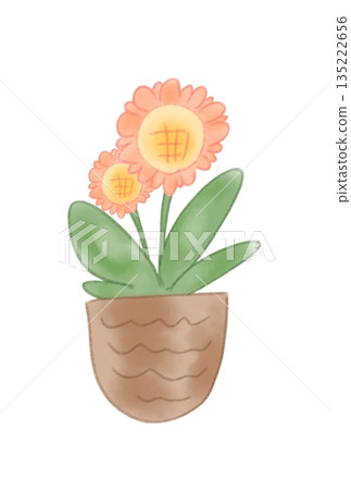 可愛的花 可愛的花 135222656
