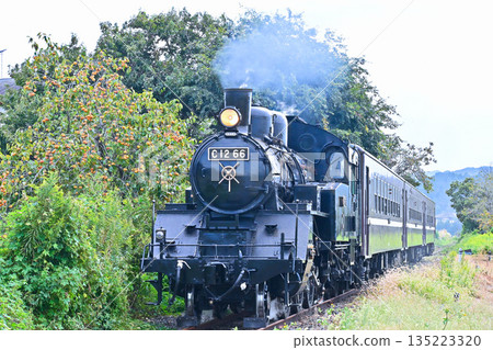 Steam locomotive of Moka railroad Steam locomotive of Moka railroad 135223320