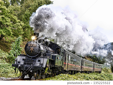 Steam locomotive of Moka railroad Steam locomotive of Moka railroad 135223322
