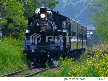 Steam locomotive of Moka railroad 135223324