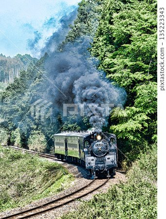 Steam locomotive of Moka railroad 135223343