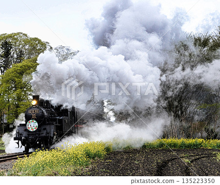 Steam locomotive of Moka railroad 135223350