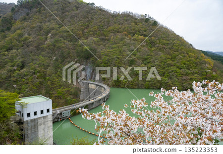 Miyagi Prefecture / Cherry blossoms in full bloom and Naruko Dam (Lake Arao) Miyagi Prefecture / Cherry blossoms in full bloom and Naruko Dam (Lake Arao) 135223353