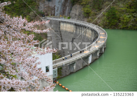Miyagi Prefecture / Cherry blossoms in full bloom and Naruko Dam (Lake Arao) Miyagi Prefecture / Cherry blossoms in full bloom and Naruko Dam (Lake Arao) 135223363
