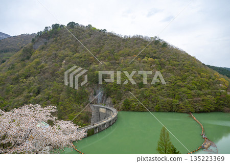 Miyagi Prefecture / Cherry blossoms in full bloom and Naruko Dam (Lake Arao) Miyagi Prefecture / Cherry blossoms in full bloom and Naruko Dam (Lake Arao) 135223369