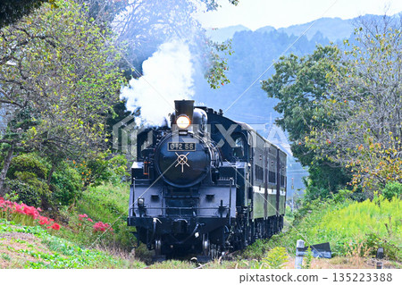Steam locomotive of Moka railroad 135223388