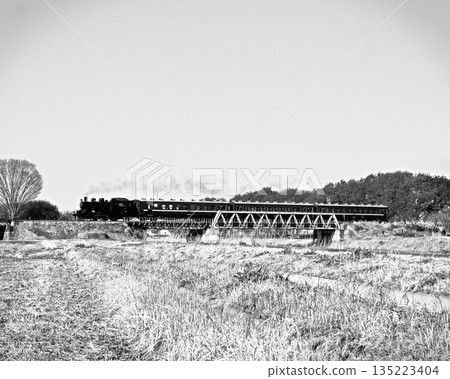 Steam locomotive of Moka railroad Steam locomotive of Moka railroad 135223404