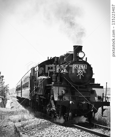 Steam locomotive of Moka railroad 135223407