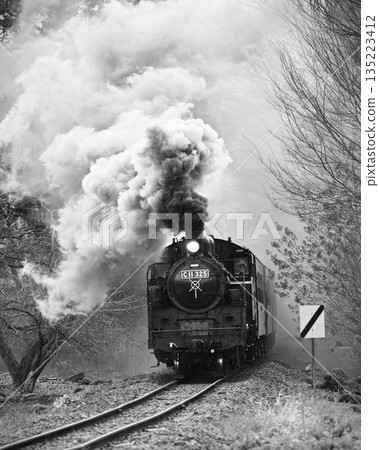 Steam locomotive of Moka railroad Steam locomotive of Moka railroad 135223412
