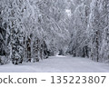 Serene Winter Landscape with Snow-Covered Trees 135223807