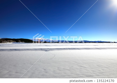 2026年1月：月山山頂峰遭遇暴風雪 135224170