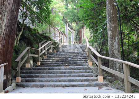Descending stone steps after visiting the Inner and Main Shrines of Ise Jingu 135224245