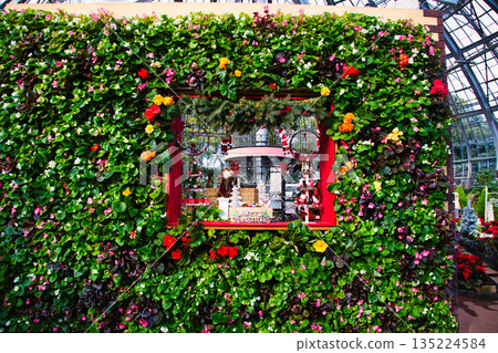 Botanical garden Christmas Botanical garden Christmas 135224584