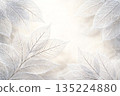 Winter background of frost-covered skeleton leaves 135224880