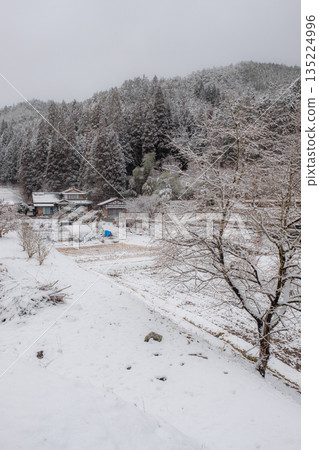 Winter countryside landscape 135224996