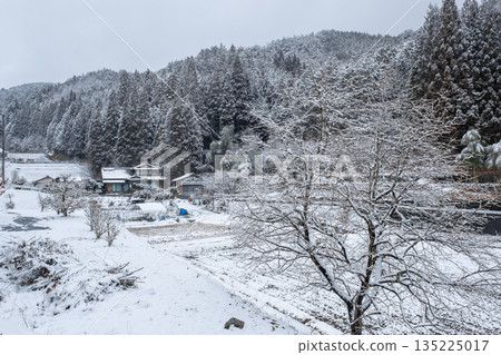 Winter countryside landscape 135225017