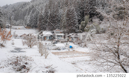 Winter countryside landscape 135225022