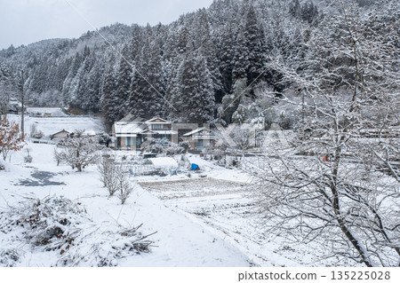 Winter countryside landscape 135225028