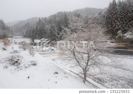 Winter countryside landscape 135225031