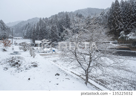 Winter countryside landscape Winter countryside landscape 135225032