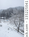 Winter countryside landscape 135225041