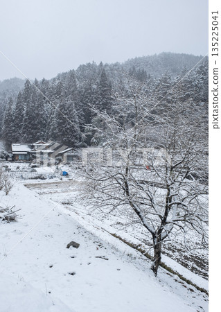 Winter countryside landscape 135225041