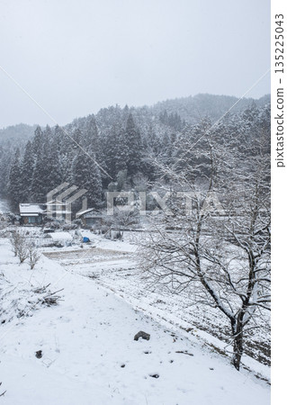 Winter countryside landscape 135225043