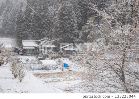 Winter countryside landscape 135225044