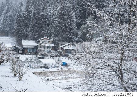 冬季農村景觀 冬季農村景觀 135225045