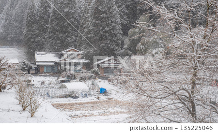 冬季農村景觀 冬季農村景觀 135225046