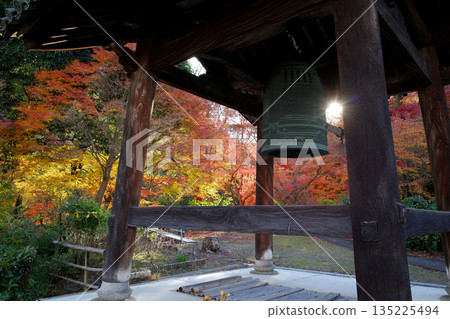 Autumn leaves at Jinnoji Temple in Kyoto Autumn leaves at Jinnoji Temple in Kyoto 135225494