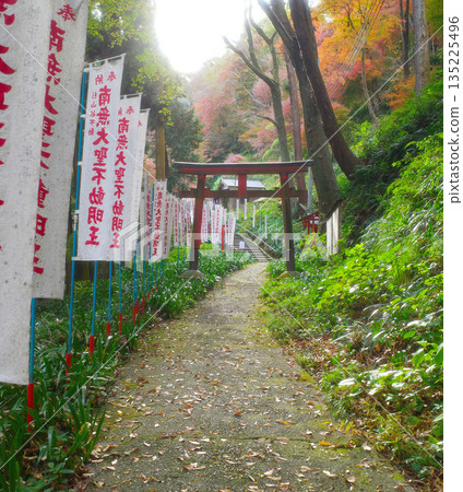 京都神之寺的秋葉 京都神之寺的秋葉 135225496