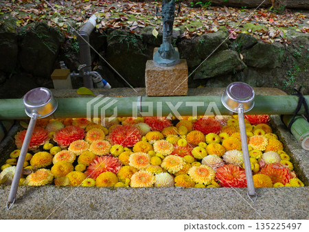 京都神之寺的秋葉 京都神之寺的秋葉 135225497