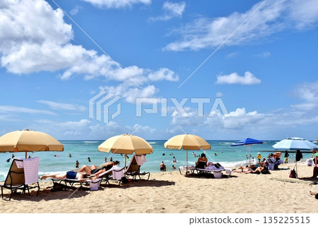夏威夷的假期 夏威夷的假期 135225515