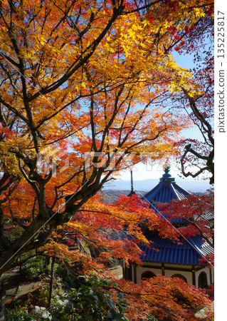 京都吉峰寺的秋葉 京都吉峰寺的秋葉 135225817
