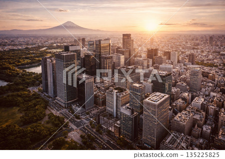 Aerial shooting in Tokyo Aerial shooting in Tokyo 135225825