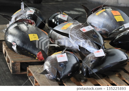 Fresh bluefin tuna sold at auction Fresh bluefin tuna sold at auction 135225893